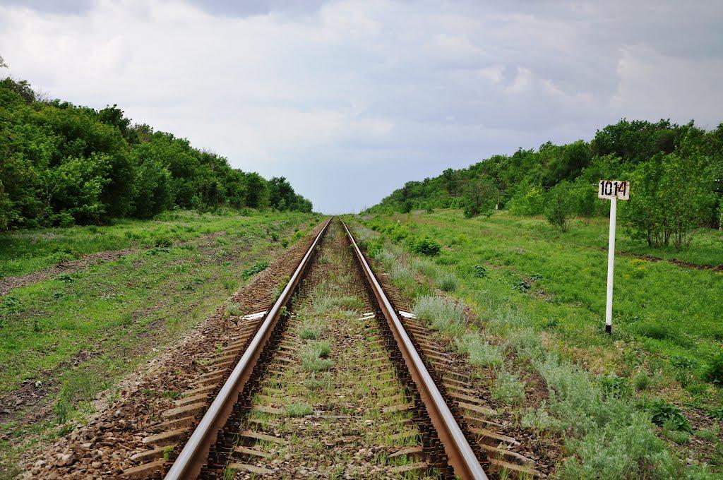 Придорожне з panoramio.com - Придорожное