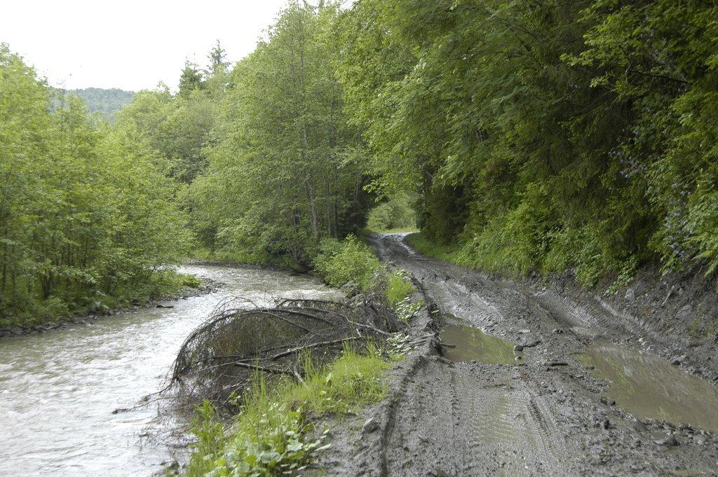 Сарата з panoramio.com - Сарата