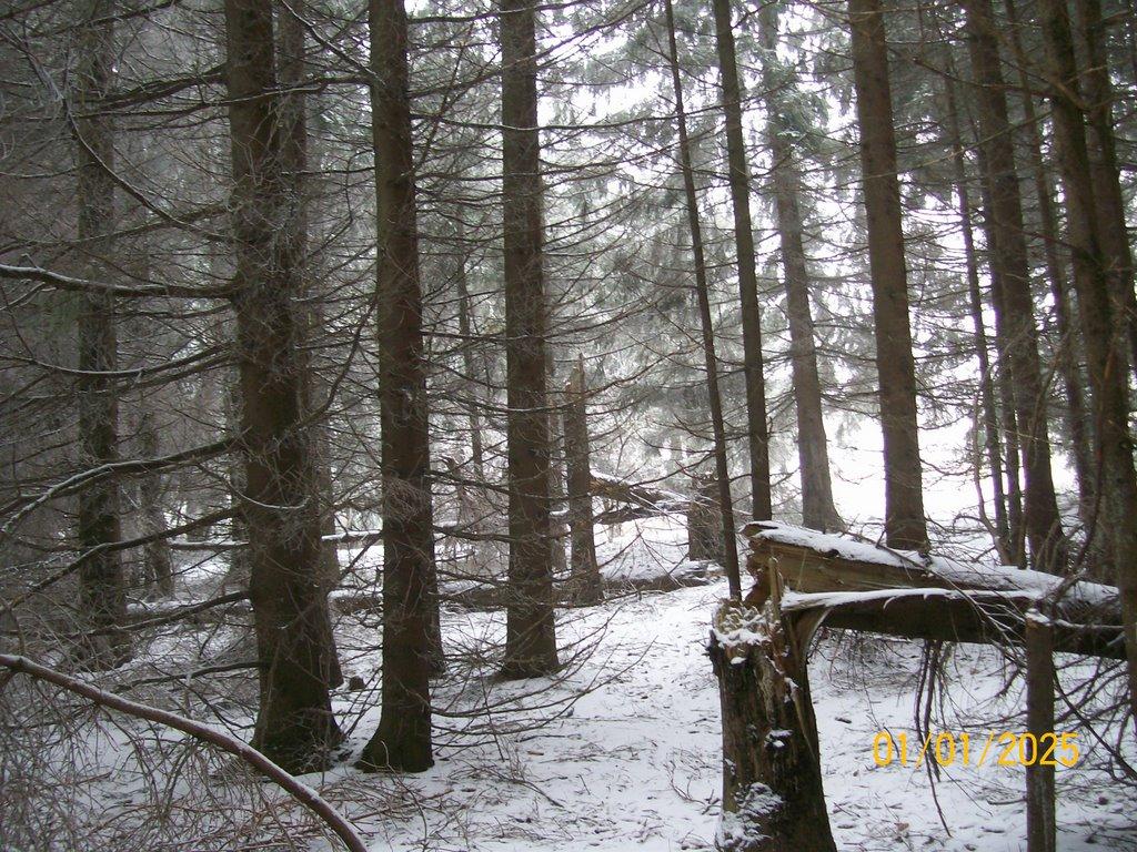 Чайковське з panoramio.com (ч.2) - Чайковское