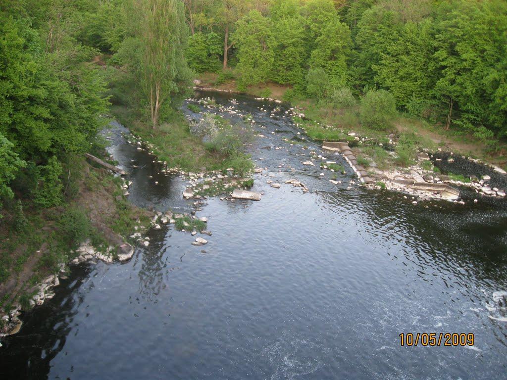 Буки з panoramio.com - Буки