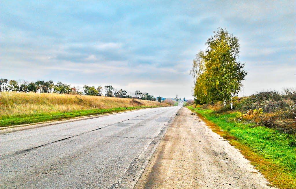 Вільне з panoramio.com - Вільне