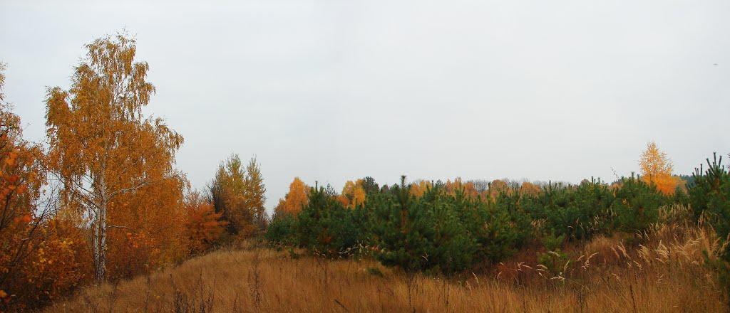 Мохначі з panoramio.com - Мохначі