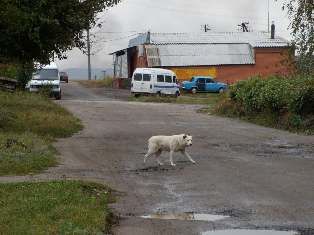 Мерефа з panoramio.com - Мерефа