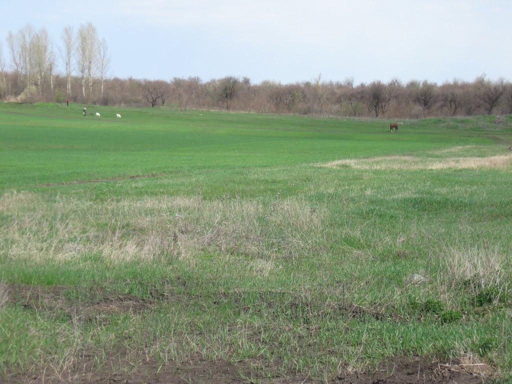 Великий Бурлук з panoramio.com - Великий Бурлук