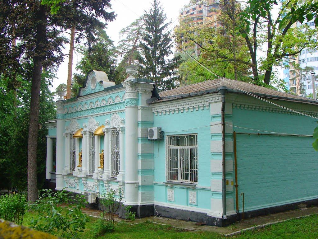 Петропавлівська Борщагівк з panoramio.com - Петропавловская Борщаговк