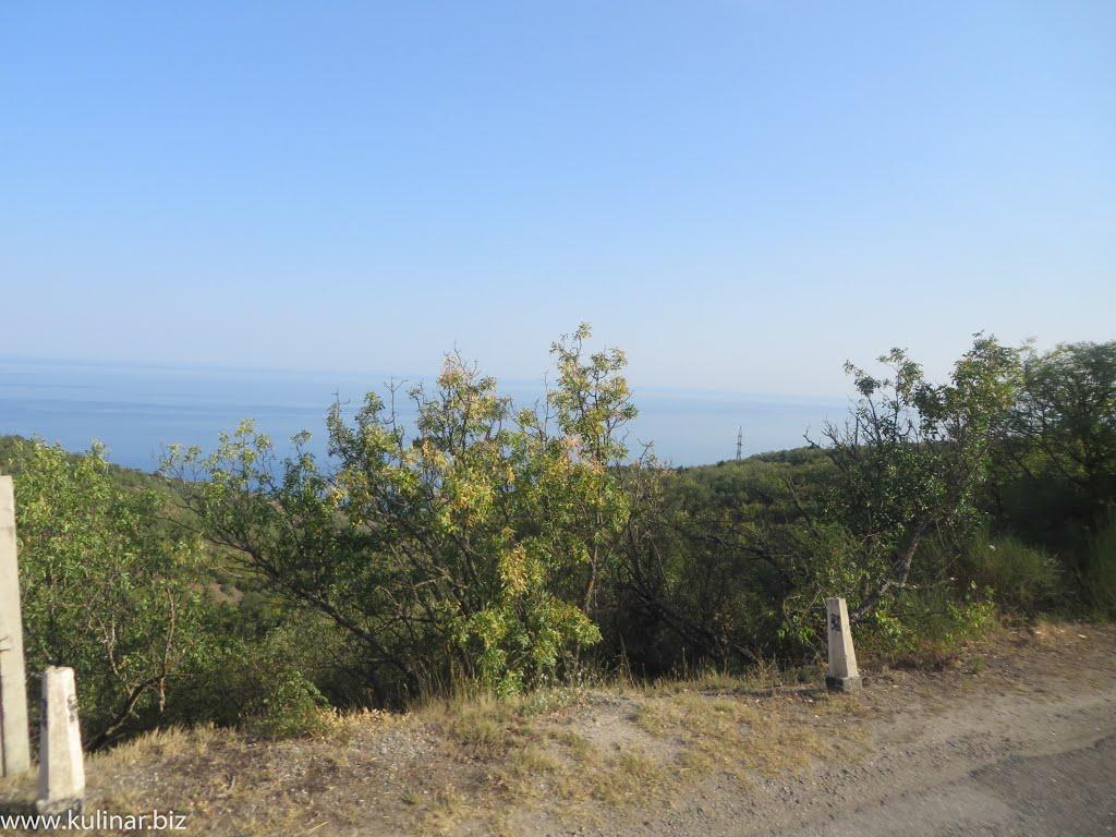 Семидвір'я з panoramio.com - Semydvirya