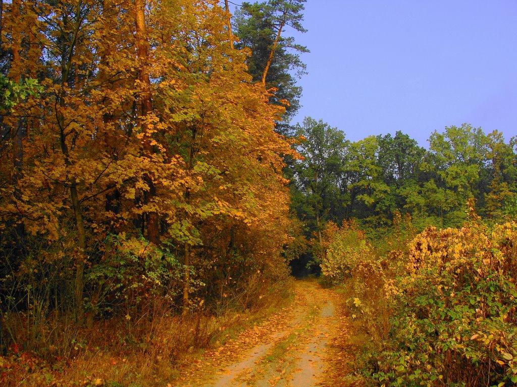 Коженики з panoramio.com - Kozhenyky