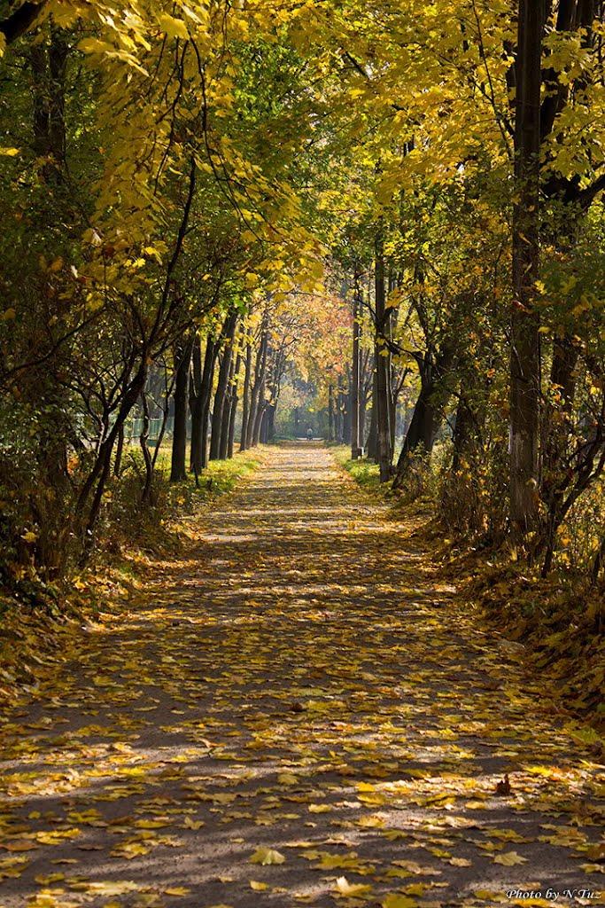 Новий Розділ з panoramio.com - Новый Роздол