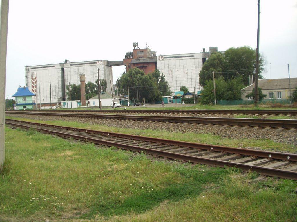 Сахновщина з panoramio.com - Сахновщина