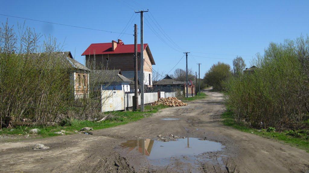 Ворошилівка з panoramio.com - Ворошиловка