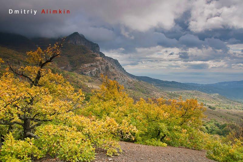 Лаванда з panoramio.com (ч.2) - Лаванда