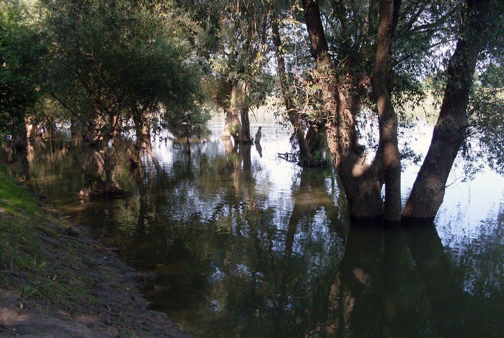 Велика Кісниця з panoramio.com - Велика Кісниця