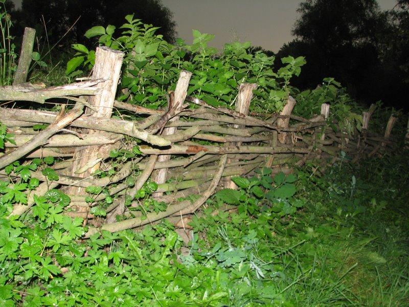 Білашки з panoramio.com