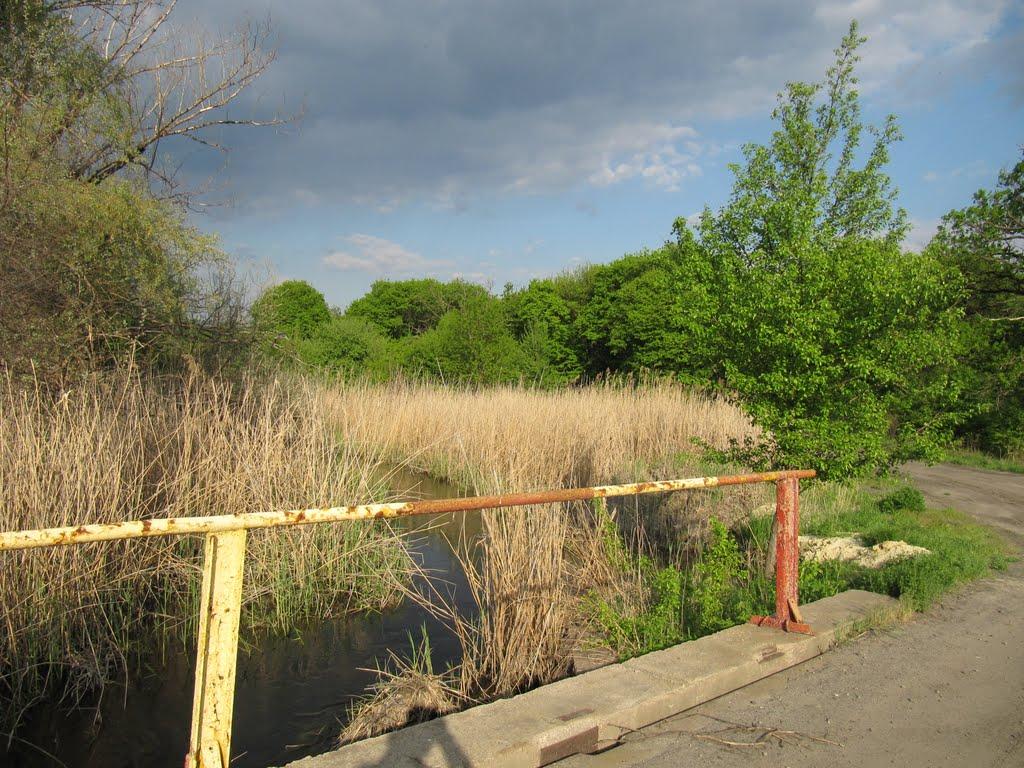 Дмитрівка з panoramio.com - Дмитрівка