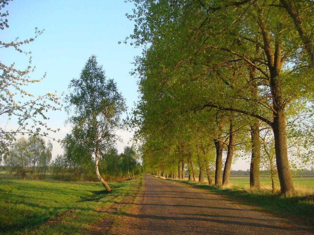Переяслівка з panoramio.com - Переяслівка