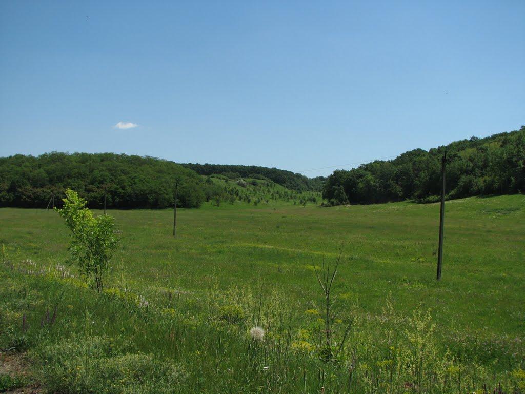 Снопове з panoramio.com - Сноповое