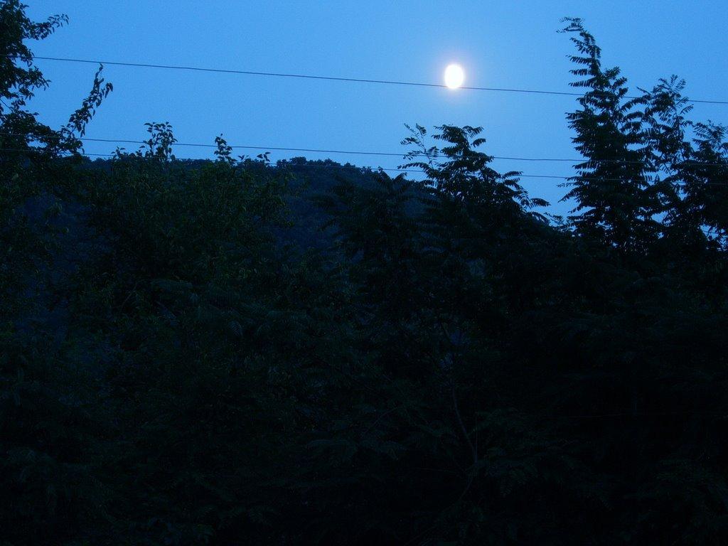 Дністрове з panoramio.com - Днестровое