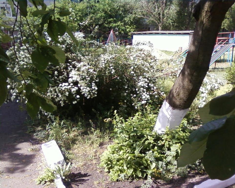 Олександрівка з panoramio.com - Олександрівка