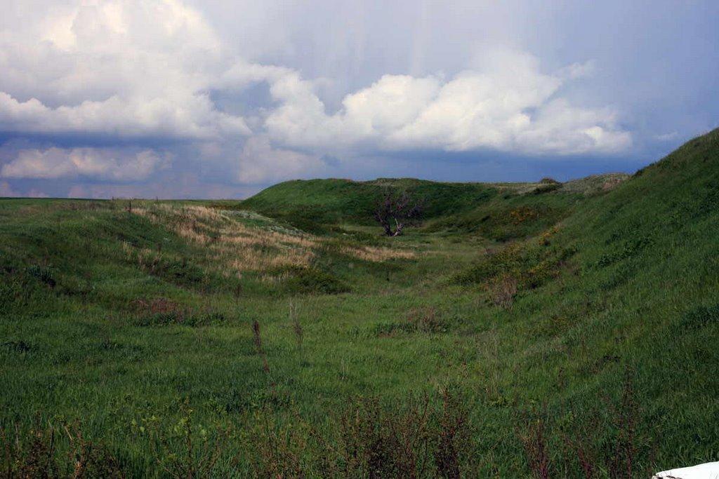 Лозівське з panoramio.com - Лозівське