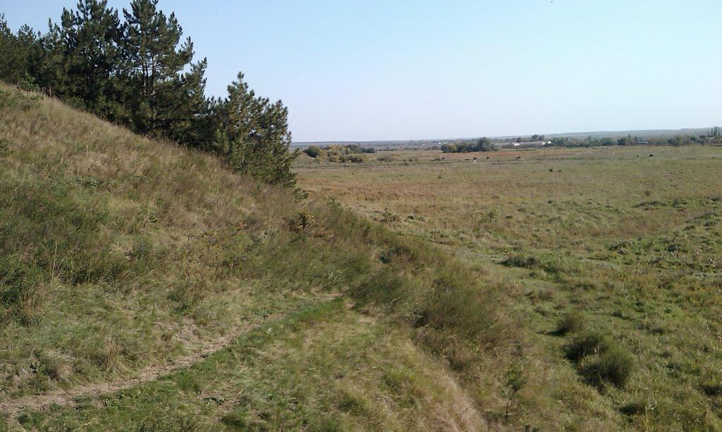 Новоіванівка з panoramio.com