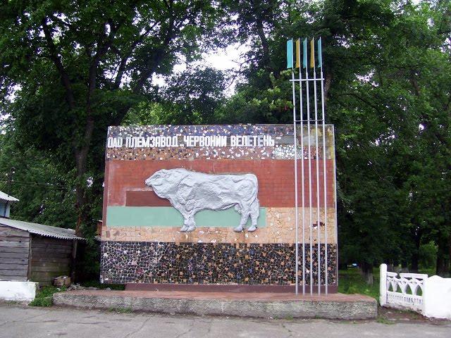 Першотравневе з panoramio.com - Першотравневе