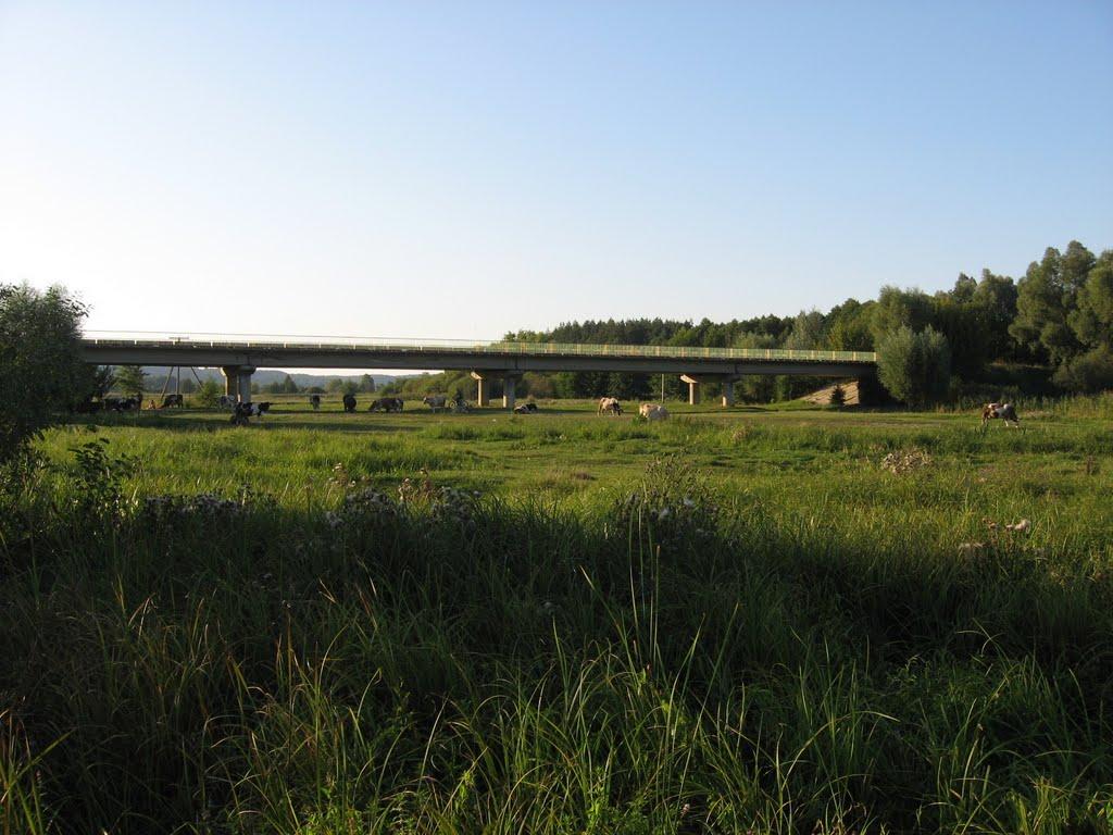 Лука з panoramio.com - Лука