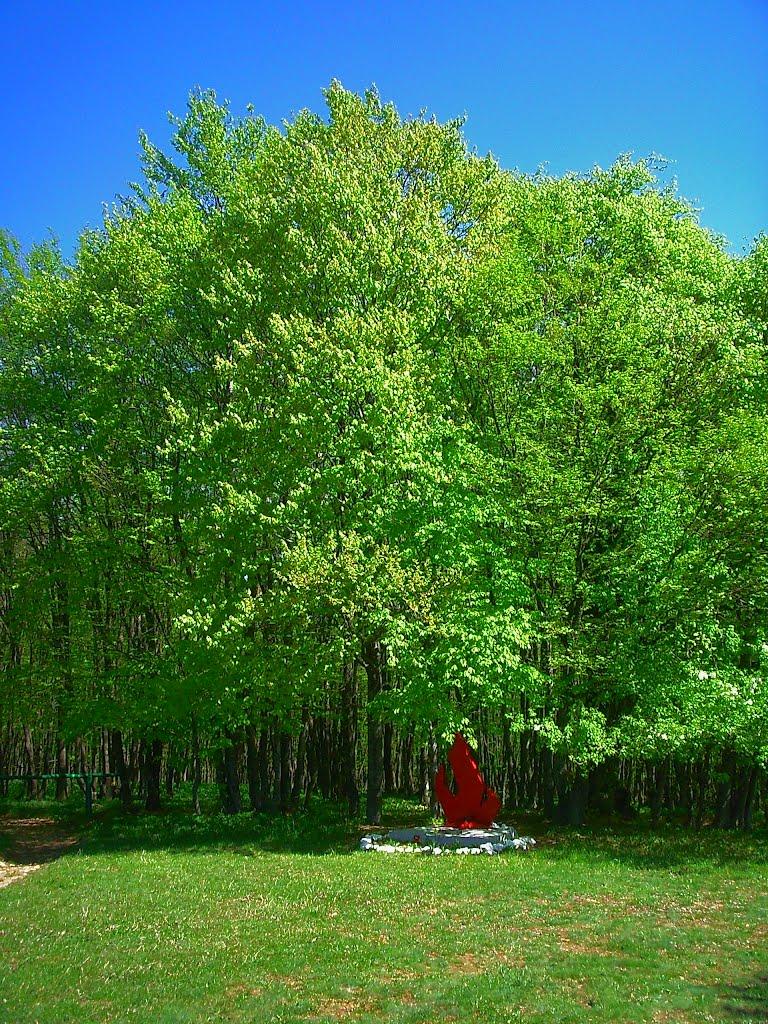 Чайковське з panoramio.com (ч.2) - Чайковське