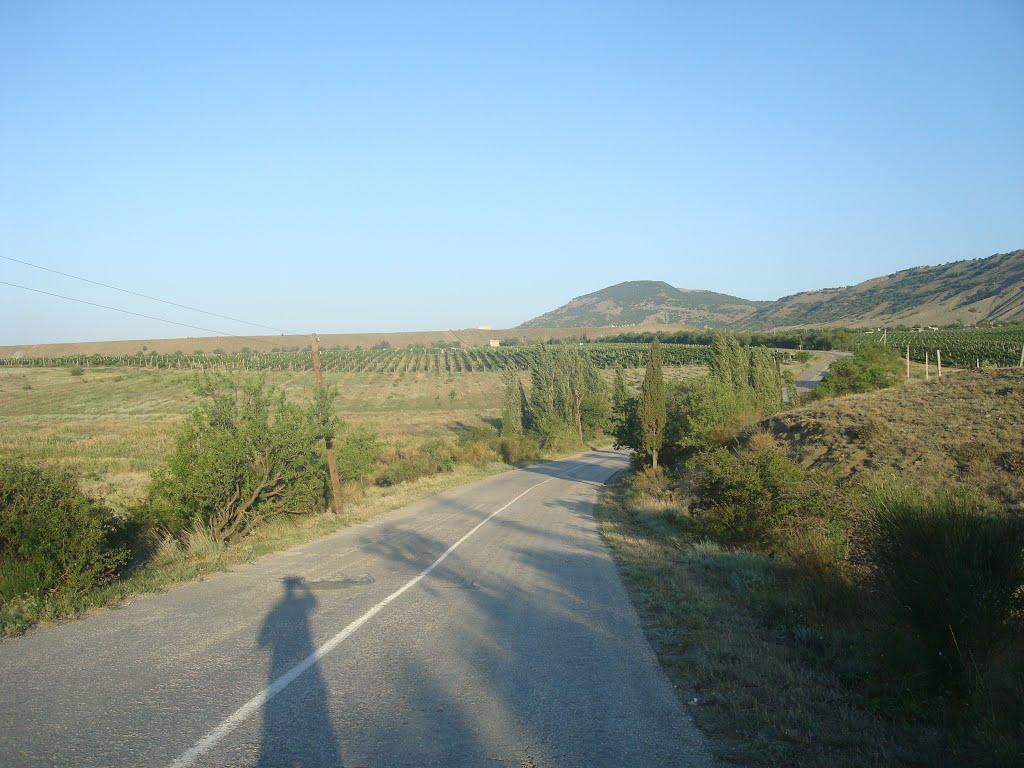 Багатівка з panoramio.com - Богатовка