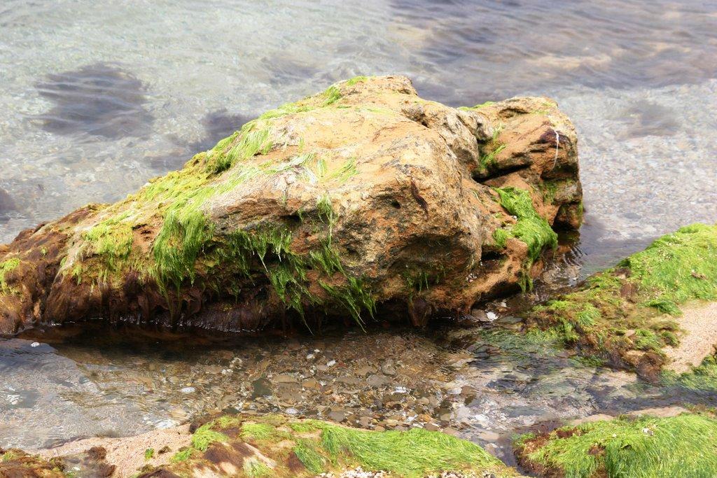 Піщане з panoramio.com - Песчаное