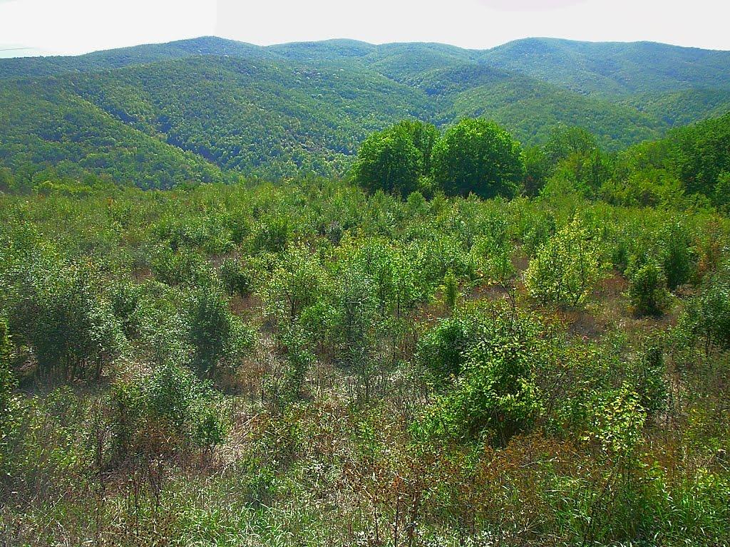 Научний з panoramio.com - Научный