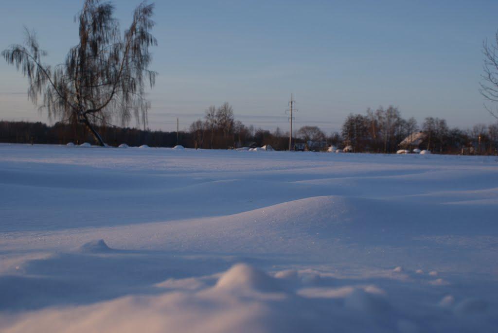 Лучичі з panoramio.com - Luchychi