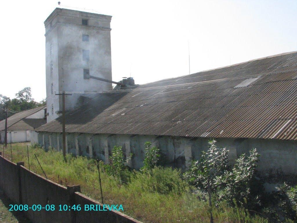 Брилівка з panoramio.com - Брилівка