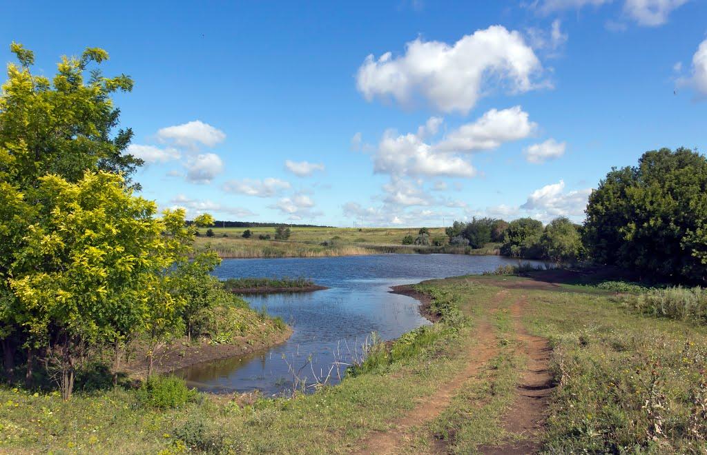 Лелеківка з panoramio.com - Лелеківка