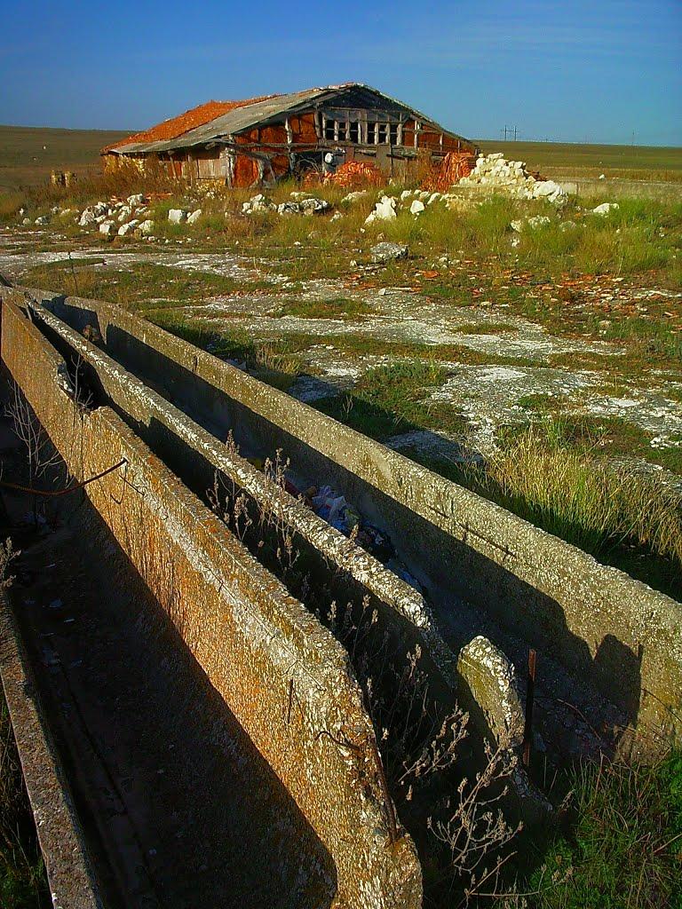 Трудове з panoramio.com - Трудовое