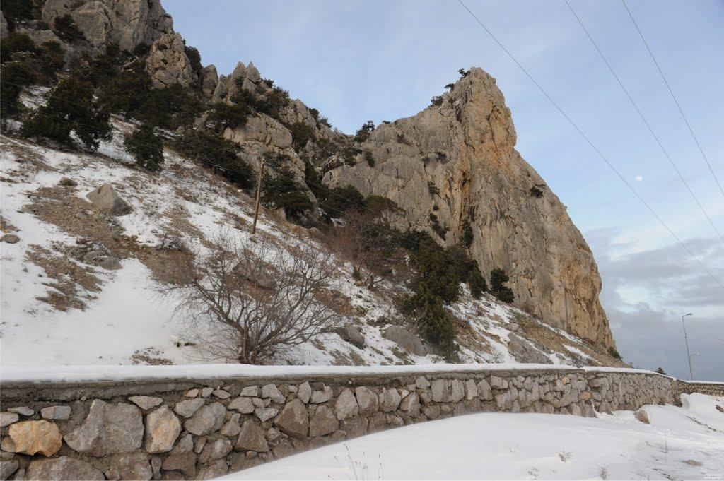 Голуба Затока з panoramio.com (ч.2) - Голуба Затока