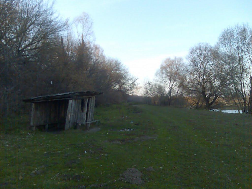 Комань з panoramio.com - Комань