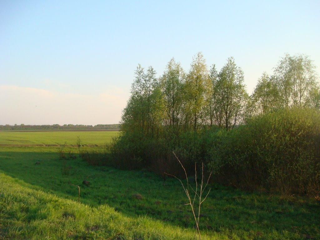 Переяслівка з panoramio.com - Переяслівка