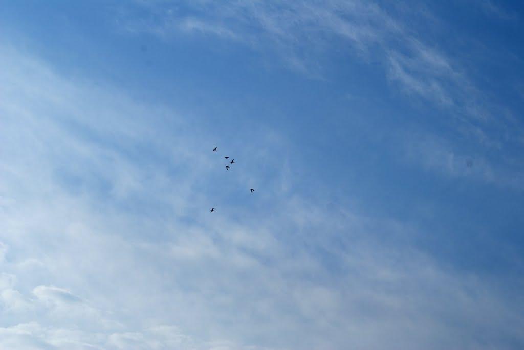 Литовеж з panoramio.com - Литовеж