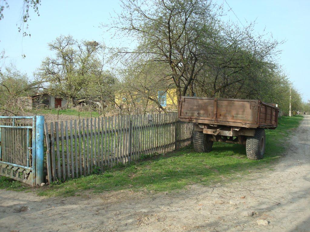 Дроздні з panoramio.com - Drozdni