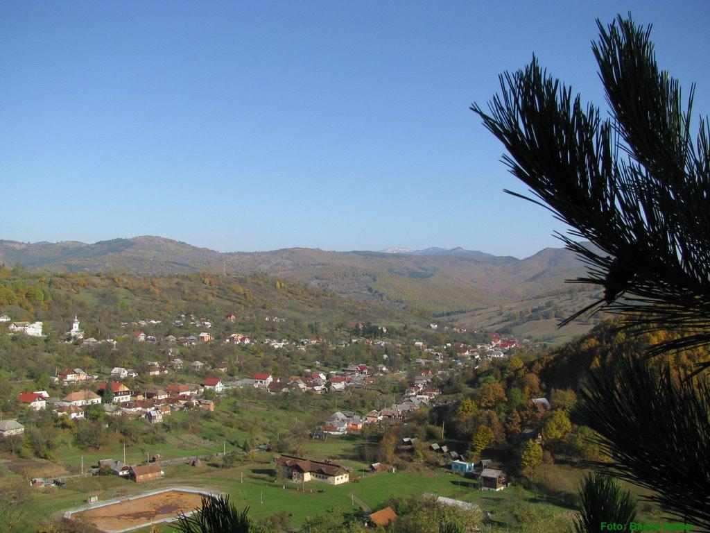Великий Бичків з panoramio.com - Великий Бичків
