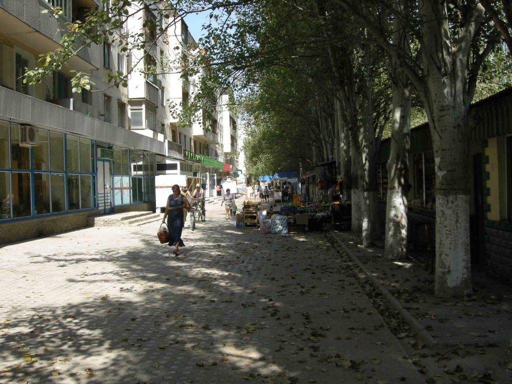 Красноперекопськ з panoramio.com - Красноперекопськ
