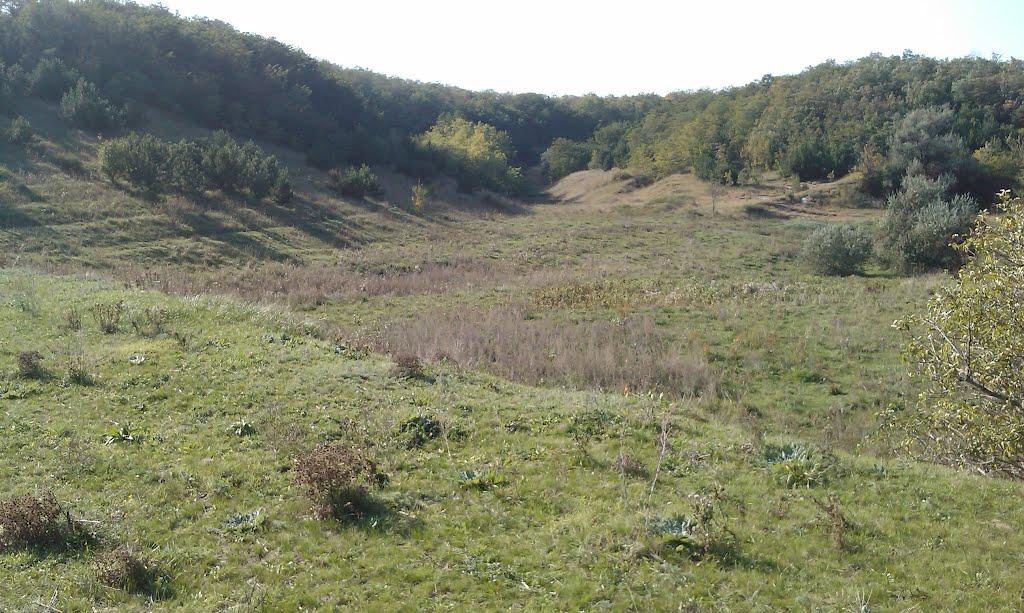 Новоіванівка з panoramio.com - Новоіванівка