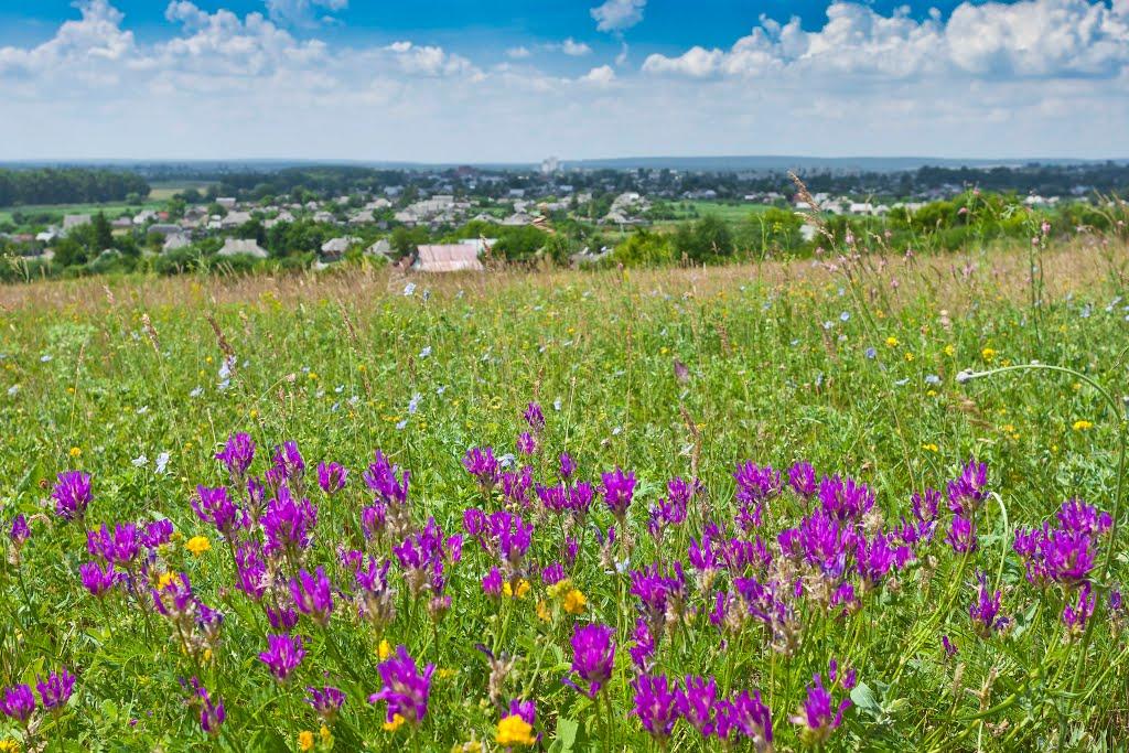 Вовчанськ з panoramio.com - Volchansk