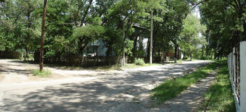 Власівка з panoramio.com - Власівка