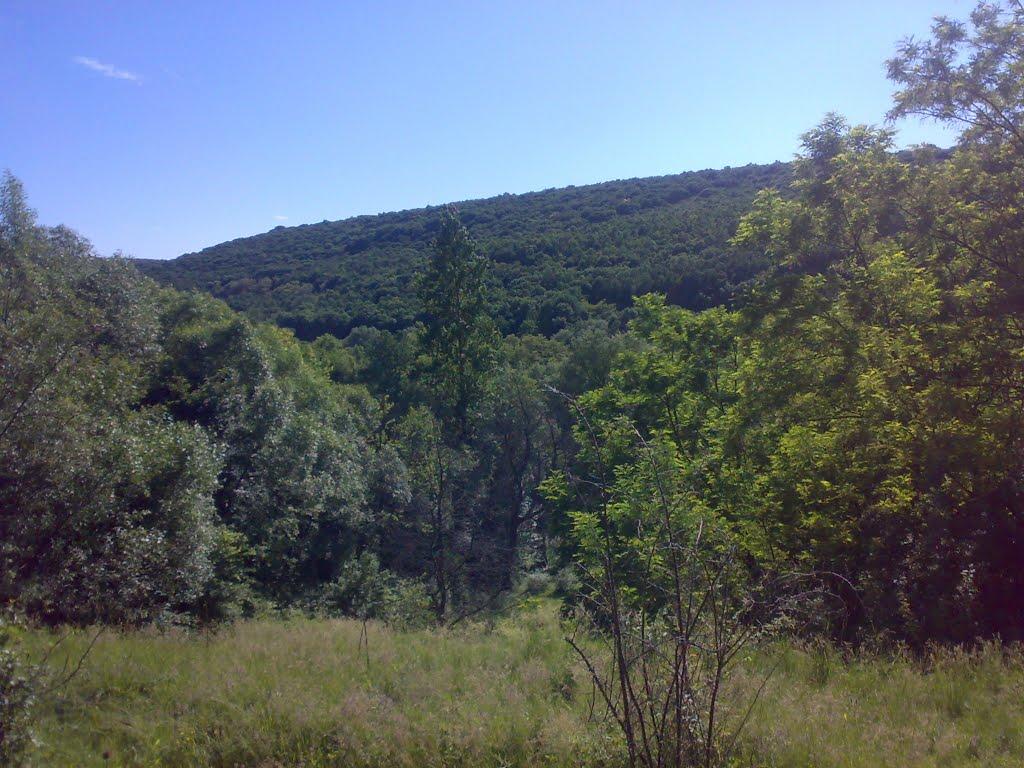 Балабанівка з panoramio.com - Балабанівка