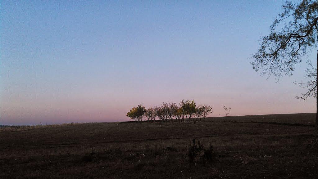 Новосілка з panoramio.com - Новоселка