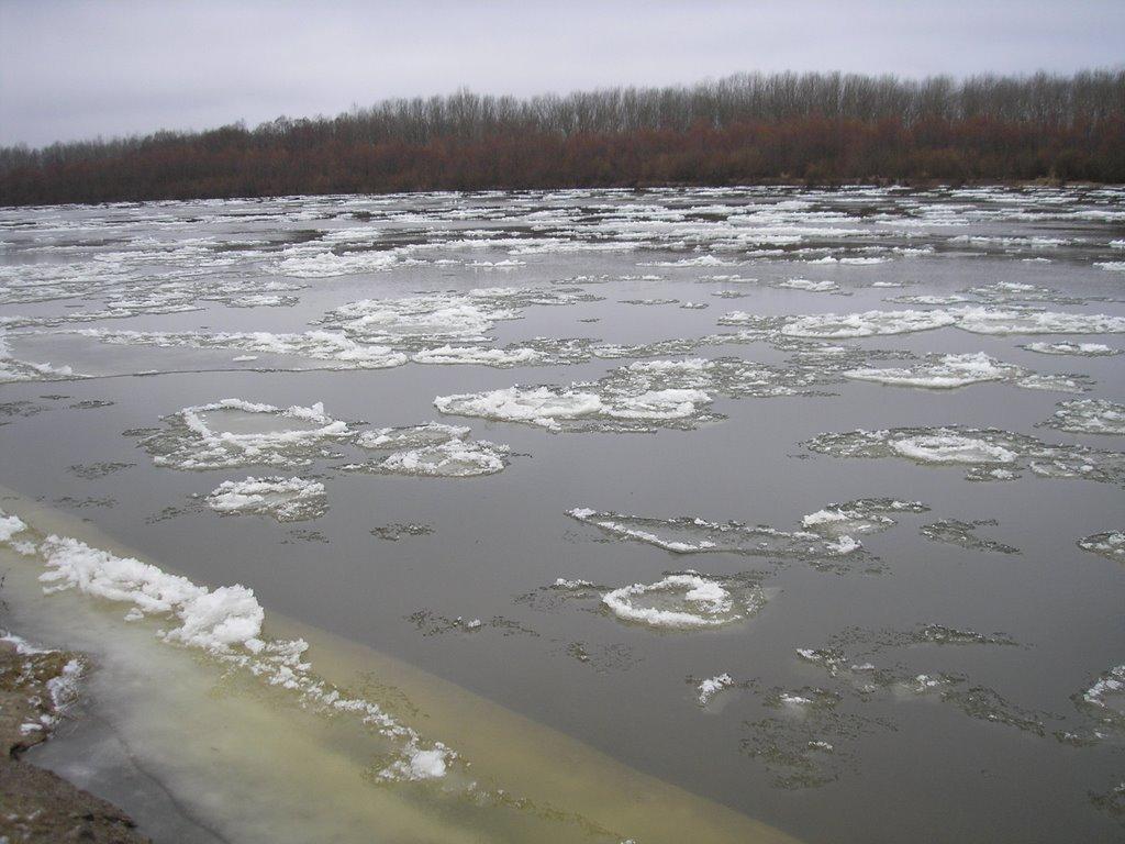 Остер з panoramio.com - Остер