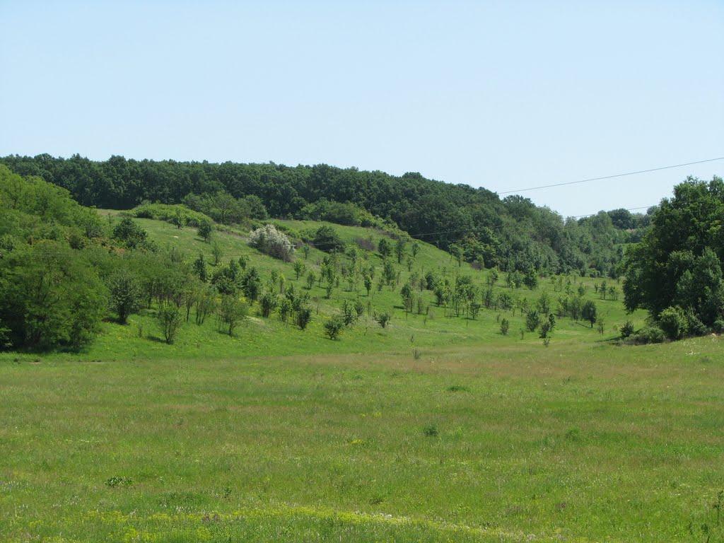 Снопове з panoramio.com - Сноповое