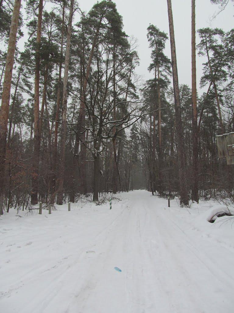Горенка з panoramio.com - Горенка