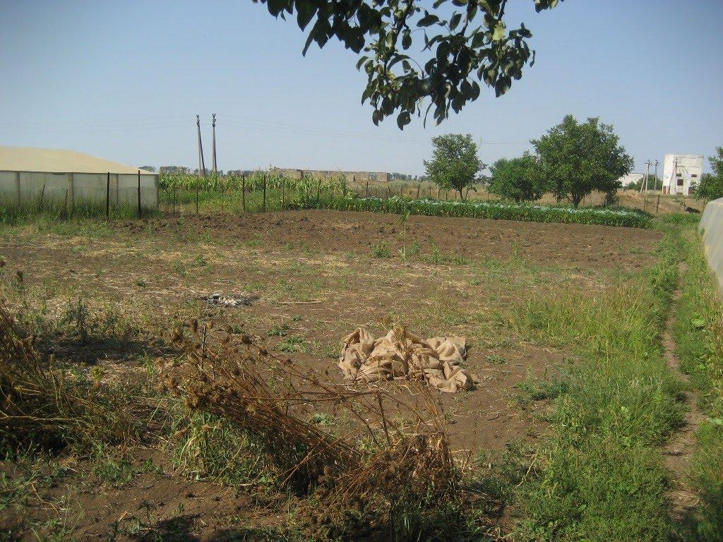 Трудове з panoramio.com - Трудовое